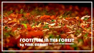Footsteps in Forest Sound Effect [FREE]