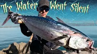 Shore Jigging for Pelagic FISH in Winter!