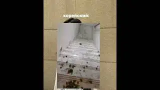 на корейском звучит круче🛐🤫 #kpop #активпж #mybag #джиайдл #kpop #kpopskz #blackpink #стрейкидс