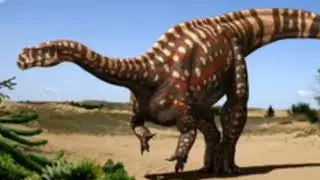 Aardonyx the early sauropod
