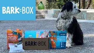 Bark Box Space Jam | Dog Subscription Box (July 2021)