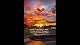 Why sunsets make you emotional and how it&rsquo;s actually good for you #neuroscience #sunset #explore