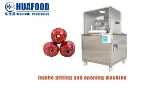 how to pit dates in a machine|how to Remove Pits from Dates