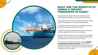 How to Choose the Best Shipping and Logistics Companies in Dubai?