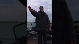 Донный грузик-поводок - монофильный или флюорокарбоновый? #ловлясудака #рыбалка #ловлярыбы