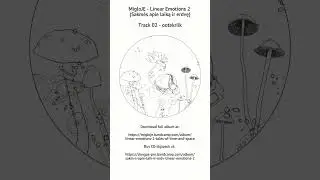 MigloJE - Linear Emotions (2 track02) ootekriik