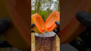 Healthy papaya jelly 😲🥰 #shorts