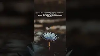 இரண்டே காரணங்கள் தான்😺🥺.... # short # tamil # Ethereal 3106👍🫂💕