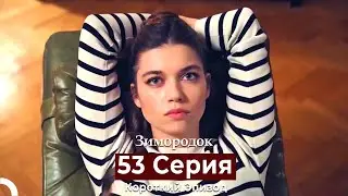 Зимородок 53 Cерия (Короткий Эпизод) (Русский дубляж)
