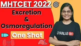 🛑 MHTCET 2022 | Excretion & Osmoregulation | One Shot | 11th Biology | Gyanlab | Anjali Patel