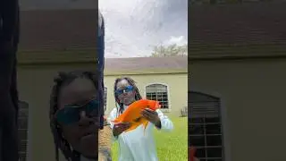 Catching goldfish in Miami #florida #fishing #goldfish #miami