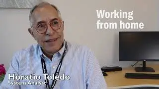 Meet a System Analyst   ProServeIT