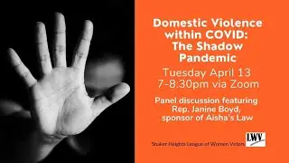Domestic Violence within Covid: The Shadow Pandemic - Tuesday April 13, 2021
