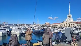 Прогулка по городу Сочи.