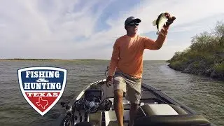 How to Catch Big Bass on Falcon Lake with the right equipment.