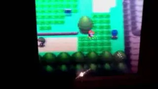 Pokemon diamond how to get a cranidos
