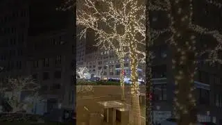 29 січня 2026 р.