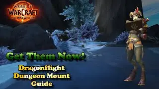 Easy Mount Guide - How to Obtain Dragonflight's Dungeon Mounts