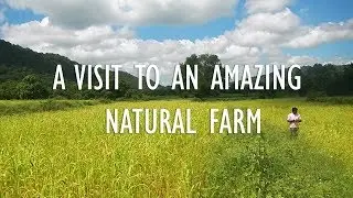An Award Winning Natural Farmer Inspires Many - Jagadeesh Reddy | Farmizen On The Road