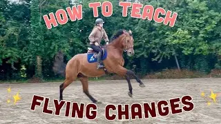 HOW TO TEACH A FLYING CHANGE FROM BASICS