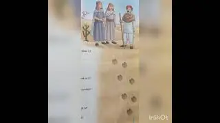The Lost Camel