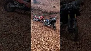 Autumn 🍁🍁🍁#adventure #offroad #greece #motorcycle #foryou