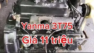 Yanma 3T75 | Gi&aacute; 11 triệu | LH 0938312207 Hoặc 0982 65 61 65