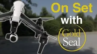 On Set with Gold Seal