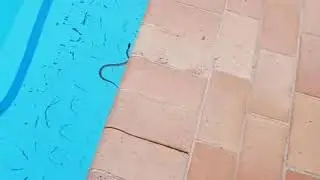 Aussie outback adventures