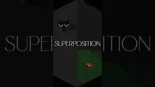 🐈 Schr&ouml;dinger&rsquo;s Cat in 30 Seconds | Quantum Chaos Simplified 🎬