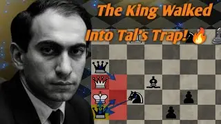 The King in Tal’s Deadly Trap! A Fierce Attack and Brilliant Sacrifice Ending in Unforgettable Mate 