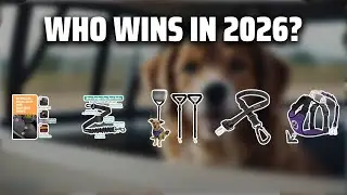 The Top 5 Best Dog Seatbelt in 2026 - Must Watch Before Buying!