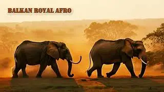 Balkan Royal Afro | Majestic Afrobeat Ethno (NCM) - High-Energy Brass BGM
