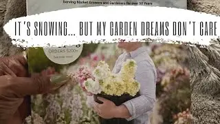 This Gave Me Spring Dreams&hellip;