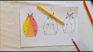 video coccinella e colori primari