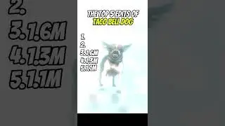 tThe top 5 edits of  Yokero taco bell dog#tacobell#top5#dogedit#tacobelldog
