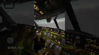 Посадка в Москве🛬 #aviation #boeing737 #авиация #xplane #msfs2020