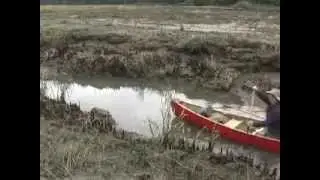 Canoeing Long Island in the Willapa Bay