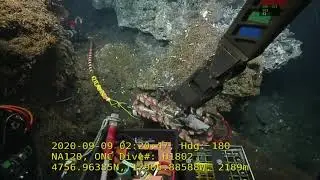 ROV Hercules Dive NA120 H1802  2020 09 09 02 11 01 046 UTC 82