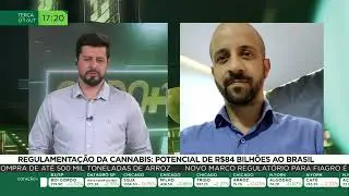 Regulamenta&ccedil;&atilde;o da cannabis: potencial de R$84 bilh&otilde;es ao Brasil
