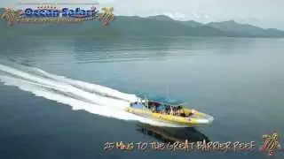 Ocean Safari - Turtle Tripper Adventure