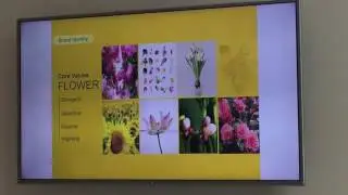 Mamonde Preview X The Butterfly Project
