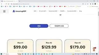 Buy Cheap RDP   Dedicated Server with Admin Access   USA Dedicated RDP