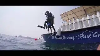 Dive into adventure with Al Boom Diving