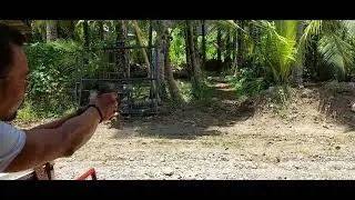 WE Allosaurus pistol firing 10mtrs with a paint can