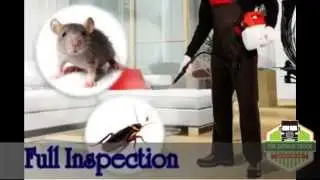 Pest Control Expert