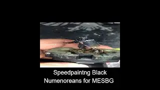 #shorts  Speedpainting a Black Numenorean for MESBG