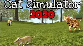 Cat Simulator: Animal Pet Kitty (Gameplay 1)