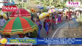 ചാലക്കുടി തിരുന്നാൾ പ്രദക്ഷിണം | chalakudy perunnal 2020 pradakshinam