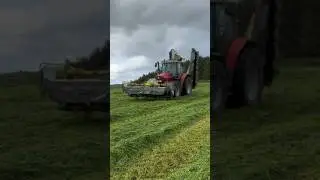 ❤️ #agrispec #agriculture #agrigirl #masseyferguson #tractorgirl #tractorgirls #countrygirl